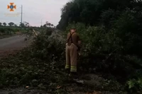 Надзвичайники Дніпропетровщини прибрали аварійні дерева