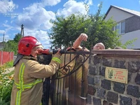 Коростень: рятувальники допомогли чоловіку вивільнити руку з металевого паркану
