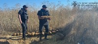 Ізмаїльський район: 37 вибухонебезпечних предметів знищено саперами Одеси