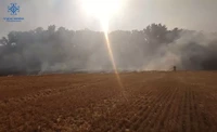 Чернівецька область: упродовж вихідних ліквідовано 10 пожеж