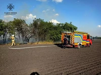 Миколаївська область: за чергову добу вогнеборці 24 рази залучались на гасіння пожеж