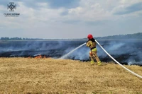 Криворізький район: ліквідовано пожежу на сільгоспугідді