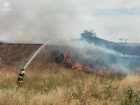 Миколаївська область: під час пожежі сухостоїв постраждав чоловік