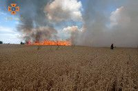 На Вінниччині ліквідовано пожежу на одному із сільськогосподарських угідь