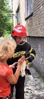 Минулої доби рятувальники двічі рятували котів
