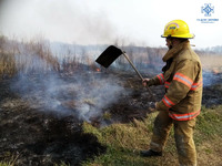 Броварський район: рятувальники продовжують боротися з пожежами у природних екосистемах