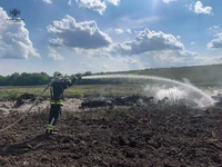 Звенигородський район: рятувальники ліквідували пожежу на відкритій території
