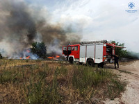 Вишгородський район: вогнем знищено господарчу споруду, ліквідовано загорання трав’яного настилу