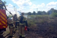 М. Павлоград: вогнеборці ліквідували займання сухої рослинності поблизу житлового сектору