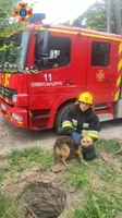 У Кропивницькому рятувальники двічі за добу рятували собак