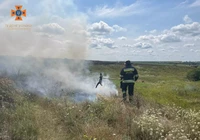 Кіровоградська область: за добу, що минула, вогнеборцями ліквідовано займання на відкритій території