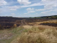 Красноградський район: вогнеборці ліквідували пожежу на полі з пшеницею