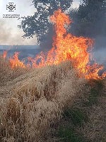 Подільський район: вогнеборці врятували від знищення 20 гектарів українського хліба