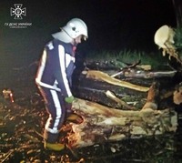 Обухівський район: рятувальники прибирали з доріг повалені дерева