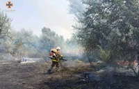 Кременчук: рятувальники загасили пожежу сухої рослинності