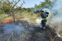 Вогнеборці Дніпропетровщини невпинно продовжують боротися з пожежами в екосистемах