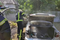М. Кам’янське: внаслідок горіння трави на відкритій території пошкоджено легковий автомобіль