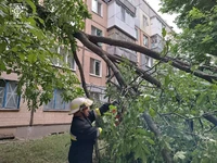 Кіровоградські рятувальники надавали допомогу по спилюванню та прибиранню аварійних дерев і гілок