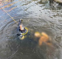 Вишгородський район: рятувальники вилучили тіло потопельника з водойми