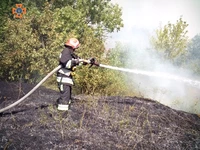 Кіровоградська область: вогнеборцями ліквідовано 8 займань на відкритій території