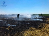 Білоцерківський район: рятувальниками ліквідовано загорання пшениці та стерні