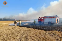 За минулу добу на Дніпропетровщині вигоріли 110 гектарів екосистеми