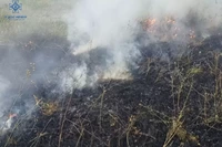 Минулих вихідних рятувальники Тернопільщини 7 разів залучались до гасіння пожеж в екосистемах