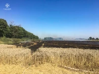 Впродовж вихідних на полях ліквідовано 6 пожеж