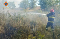 На Вінниччині за минулу добу ліквідовано 17 пожеж в природних екосистемах