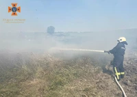 За добу вогнеборці загасили 40 пожеж в екосистемі