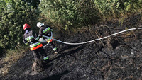 Білоцерківський район: рятувальниками ліквідовано загорання трав`яного настилу