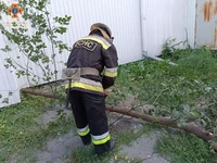 Кіровоградська область: бійці ДСНС спилювали аварійні гілки та дерева, які перешкоджали нормальній життєдіяльності населення