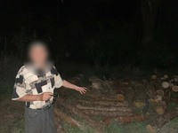 Кролевецькі поліцейські викрили крадія деревини