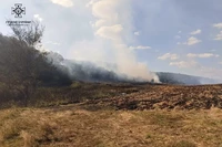 Новомосковський район: вогнеборці загасили пожежу на території лісового господарства