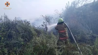 Кіровоградська область: за добу, що минула, вогнеборцями ліквідовано вісім займань на відкритій території