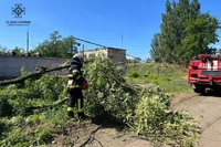 Нікопольський район: надзвичайники прибрали повалені дерева з проїжджої частини