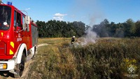 Бучанський район: рятувальниками ліквідовано загорання трав’яного настилу
