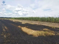 За добу ліквідовано чотири загоряння сухої трави