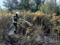 Броварський район: рятувальниками ліквідовано загорання трав’яного настилу