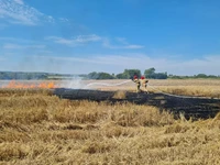 Рятувальники Дубенщини ліквідували пожежу посіву пшениці
