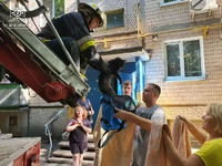 М. Кропивницький: рятувальники зняли кота з високого дерева