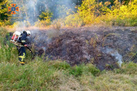 За добу ліквідовано 12 пожеж в екосистемах