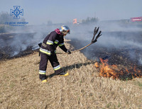 Білоцерківський район: рятувальниками ліквідовано загорання трав’яного настилу поблизу автодороги