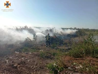 На Кіровоградщині протягом доби, що минула, вогнеборцями ліквідовано 8 пожеж