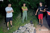 Вилучено канабісу на понад дев’ять мільйонів гривень: правоохоронці Черкащини припинили діяльність наркоділків