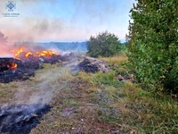 Упродовж доби рятувальники загасили вісім загорянь, що виникли в екосистемах