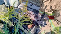 На Рівненщині рятувальники допомогли у ліквідації наслідків ДТП за участю легкового автомобіля
