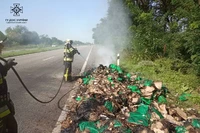 На Дніпропетровщині протягом доби вогнеборці ліквідували 17 пожеж в екосистемах