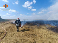 Бійці ДСНС ліквідували 8 пожеж в екосистемах