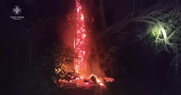 На Конотопщині вогнеборці ліквідували загоряння дерева